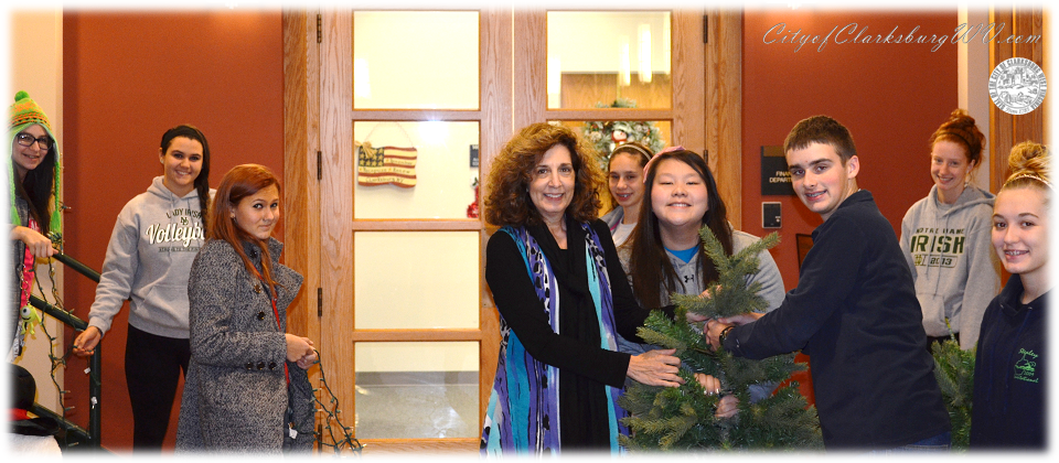 Mayor Youth Council 2013-2014